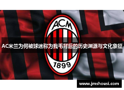 AC米兰为何被球迷称为我毛背后的历史渊源与文化象征