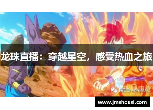 龙珠直播：穿越星空，感受热血之旅