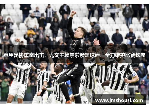 意甲足协重拳出击，尤文主场禁啦涉黑球迷，全力维护比赛秩序