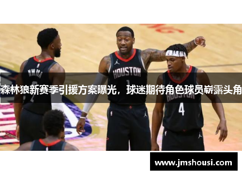 森林狼新赛季引援方案曝光，球迷期待角色球员崭露头角